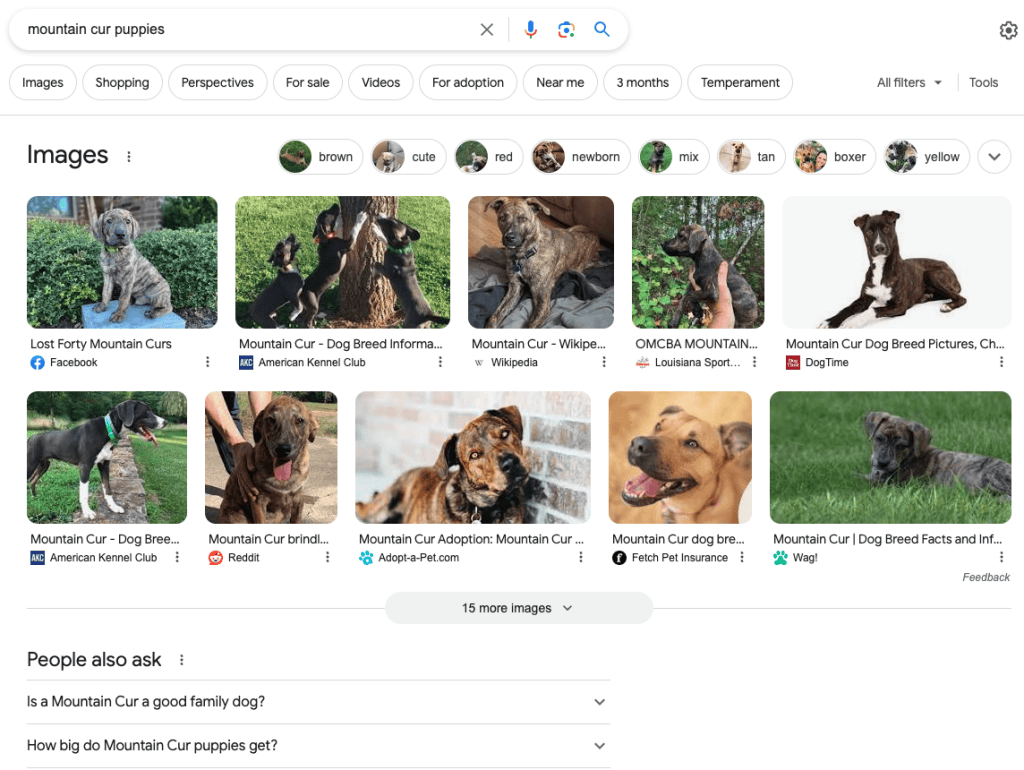 Google image results page for 